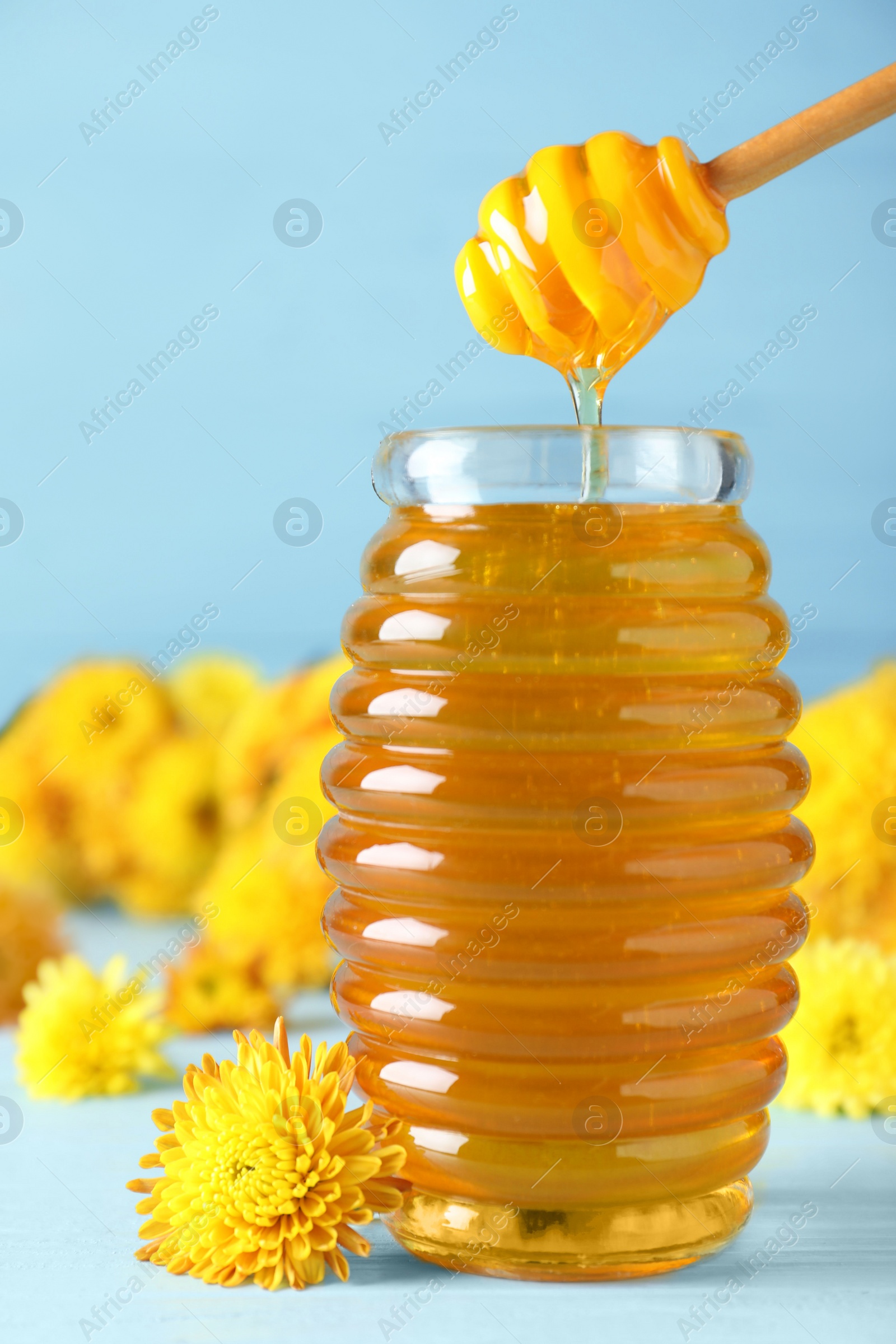 Photo of Tasty honey and chrysanthemum flowers on light blue table