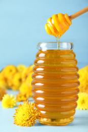 Photo of Tasty honey and chrysanthemum flowers on light blue table