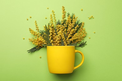 Beautiful floral composition with mimosa flowers and cup on green background, flat lay