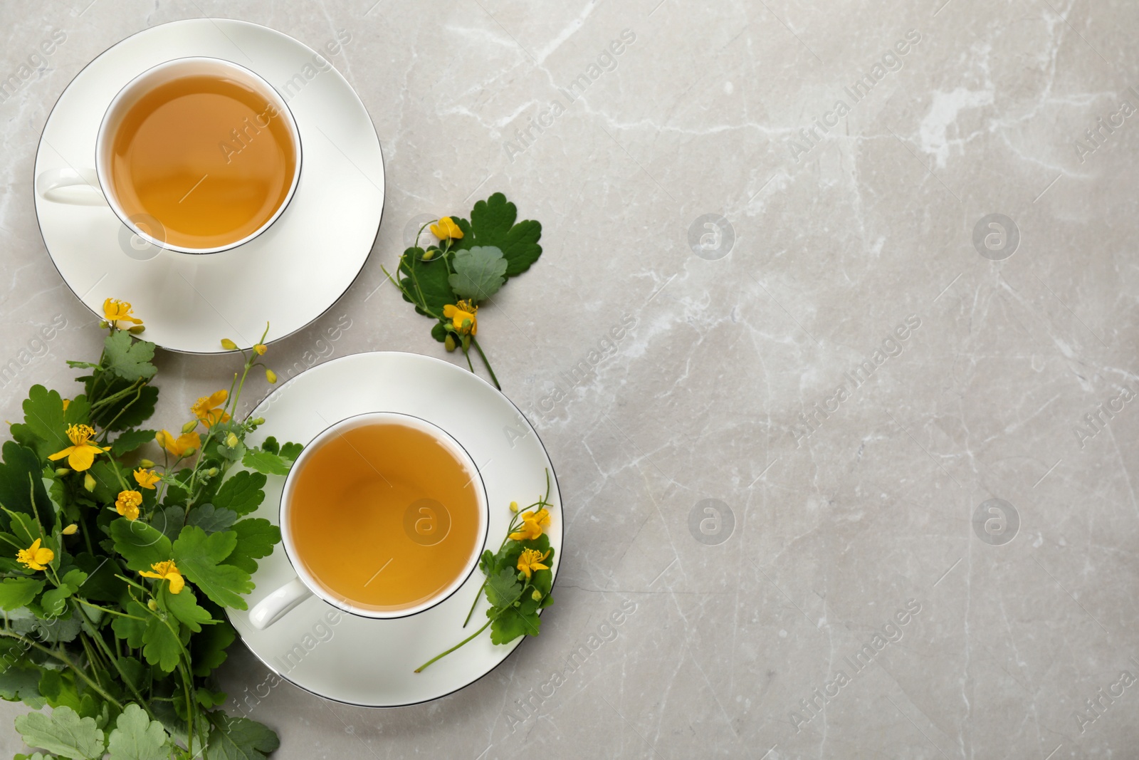 Photo of Cups of aromatic celandine tea and flowers on grey table, flat lay. Space for text