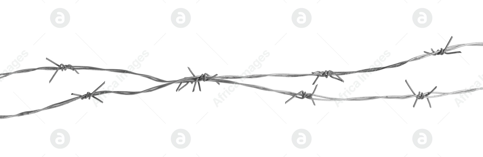 Photo of Shiny metal barbed wire isolated on white