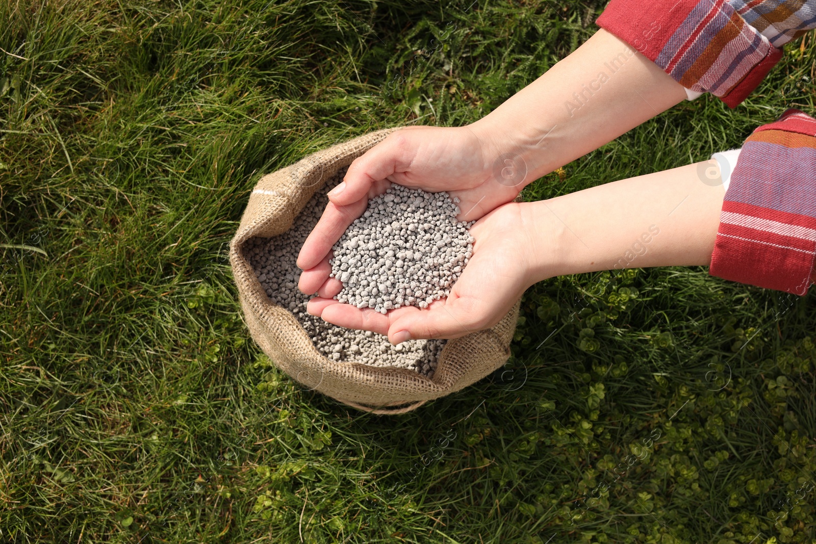 Photo of Woman with fertilizer on green grass outdoors, top view