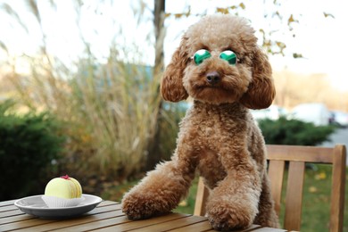 Photo of Cute fluffy dog with sunglasses at table in outdoor cafe. Space for text