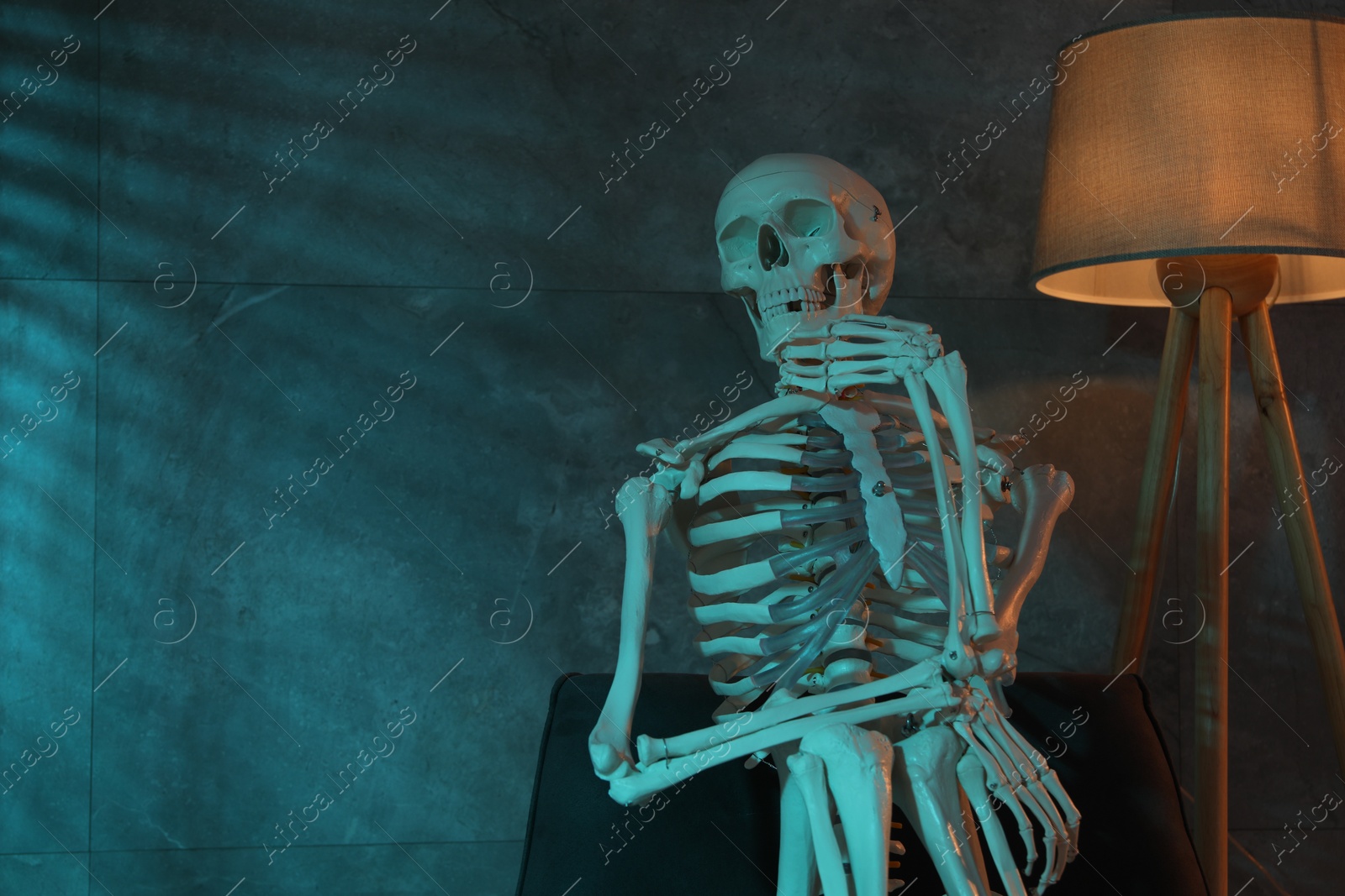 Photo of Waiting concept. Human skeleton sitting in armchair indoors, space for text