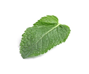 Fresh green mint leaf on white background