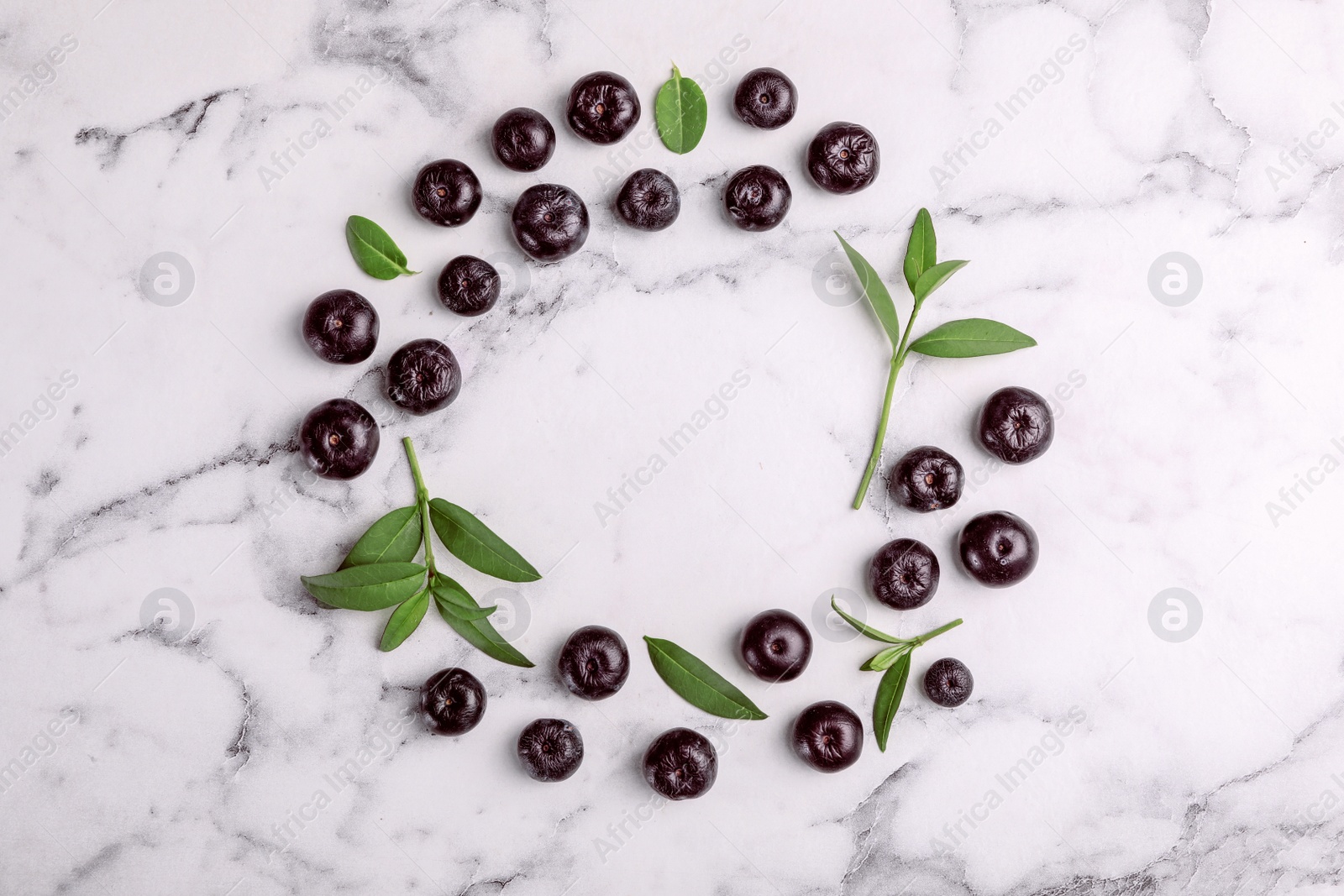 Photo of Fresh acai berries with leaves on marble table, flat lay. Space for text