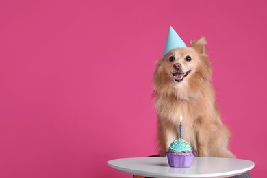 Photo of Cute dog wearing party hat at table with delicious birthday cupcake on pink background. Space for text