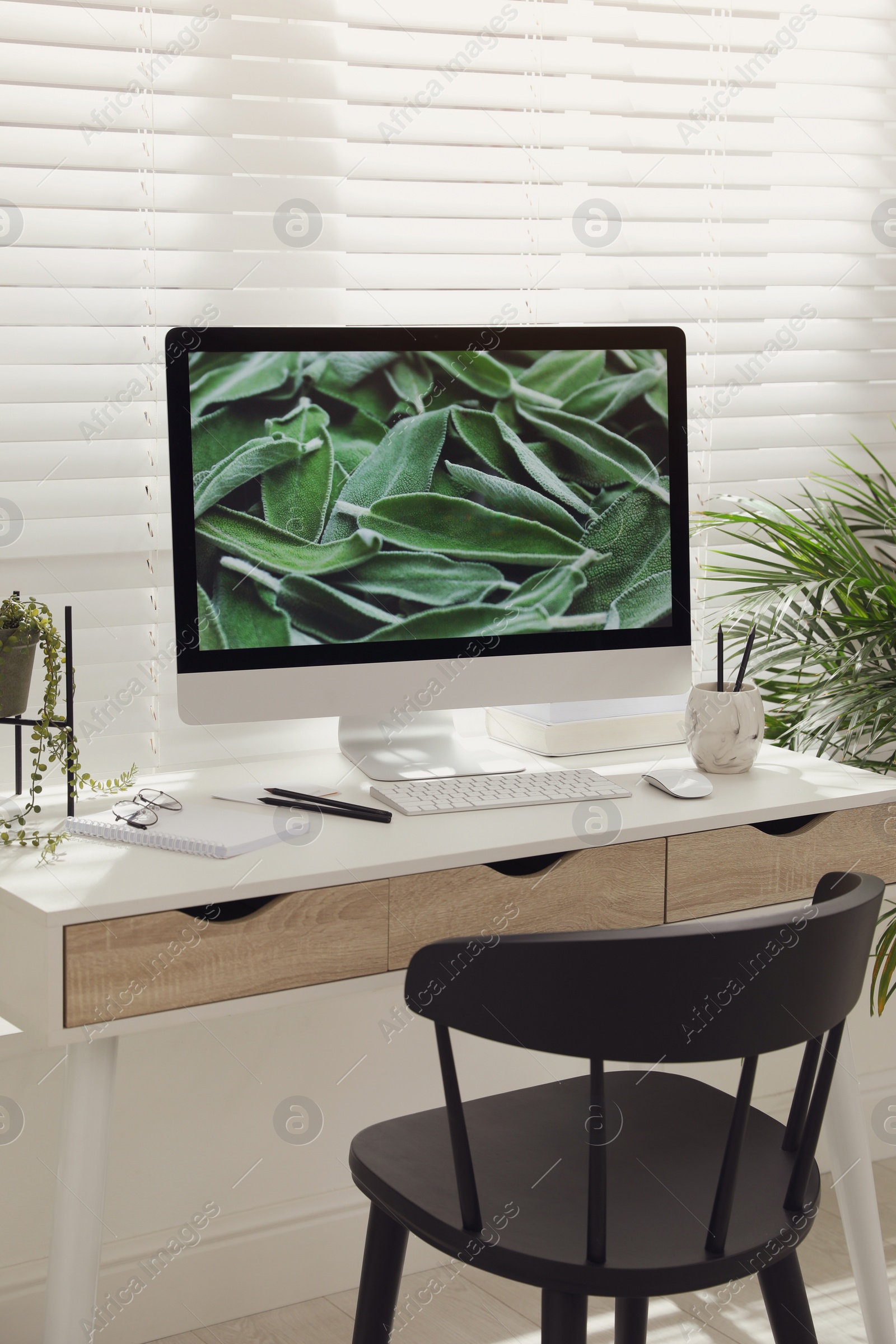 Photo of Comfortable workplace with modern computer and green plant in room. Interior design