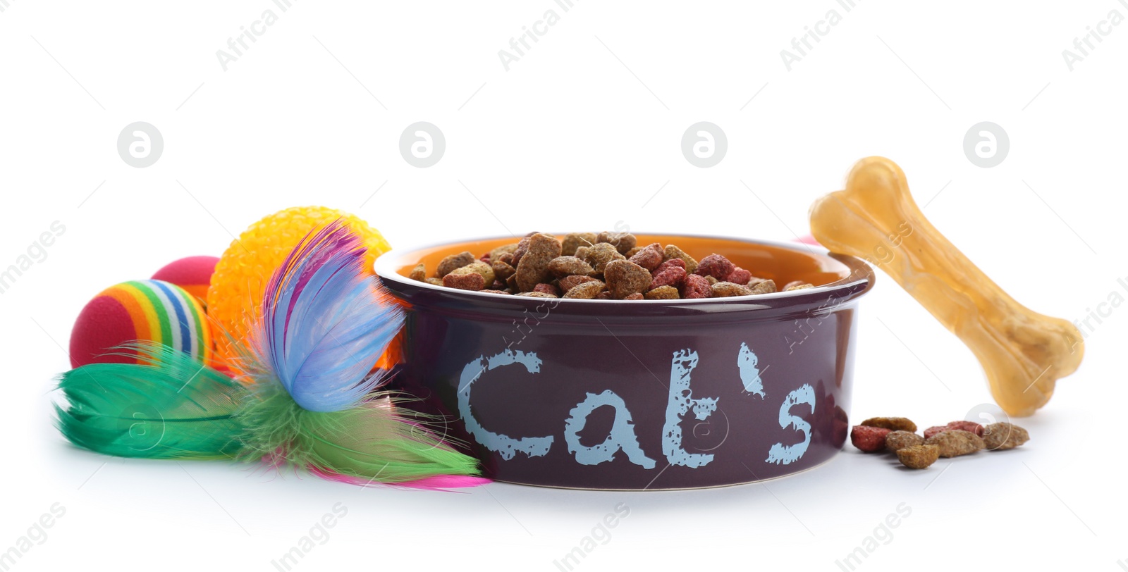 Photo of Toys, accessories for cat and dog on white background. Pet care