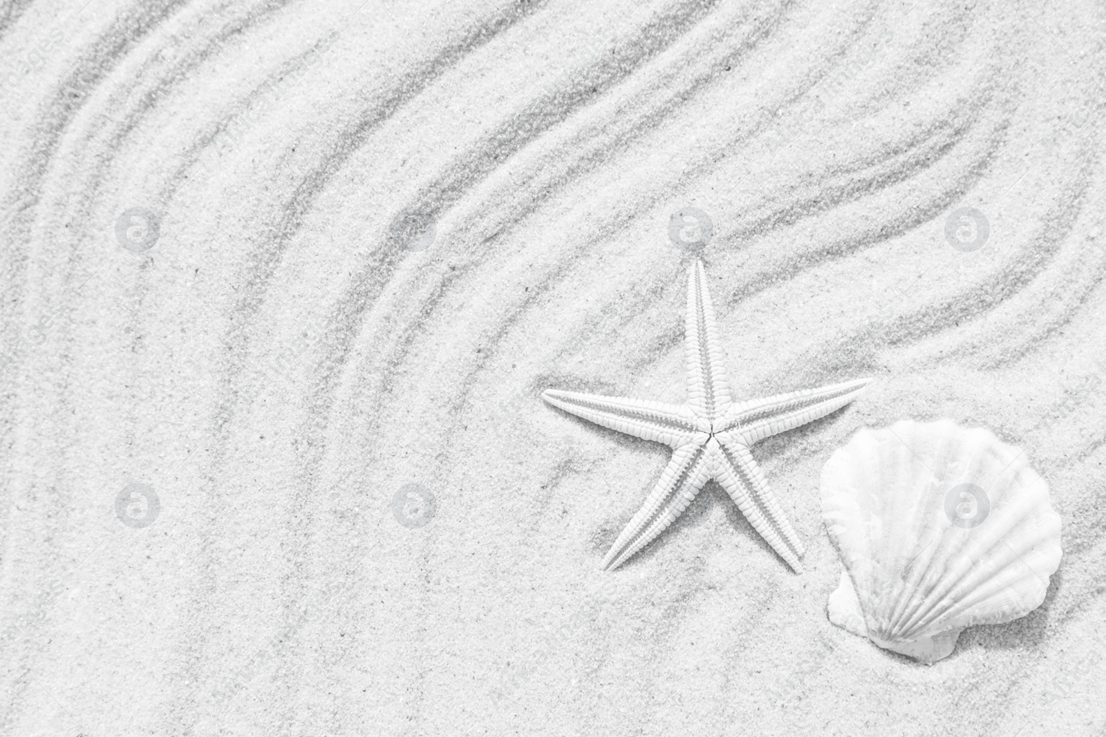 Image of Starfish and seashell on beach sand with wave pattern, top view. Space for text