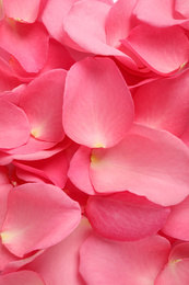 Fresh pink rose petals as background, closeup