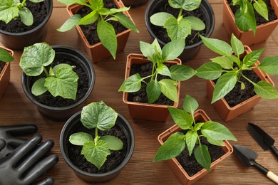 Photo of Different seedlings growing in plastic containers with soil, gardening tools and gloves on wooden table, above view