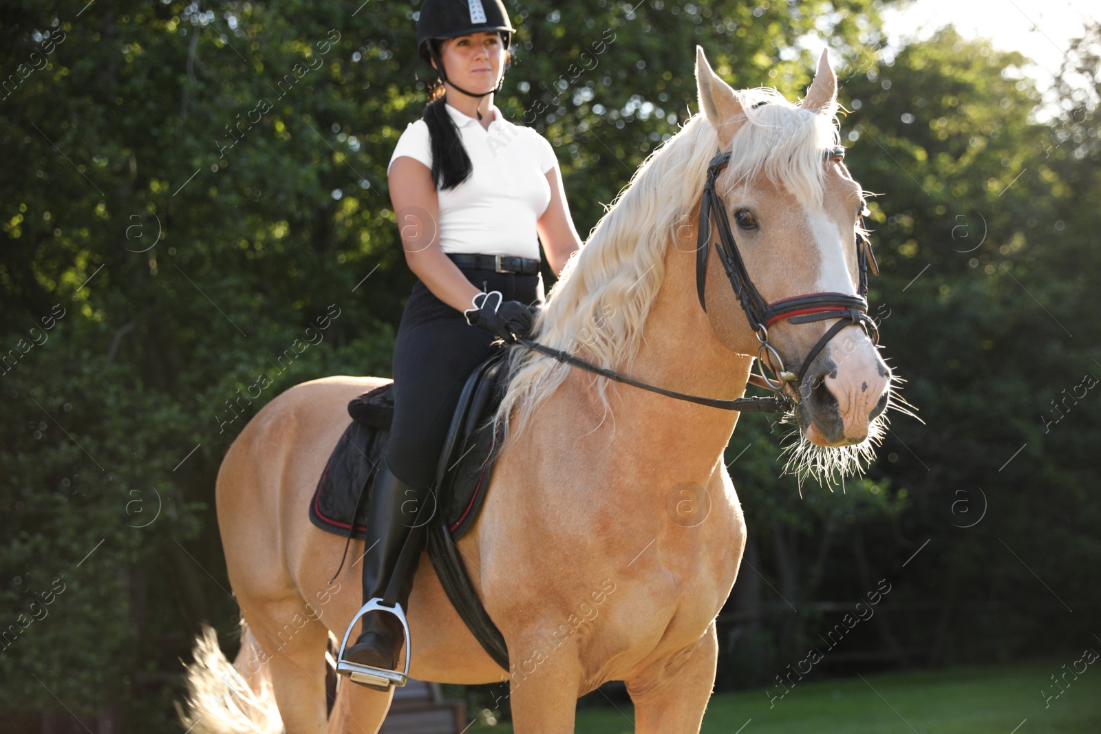 Photo of Young woman in equestrian suit riding horse outdoors on sunny day. Beautiful pet