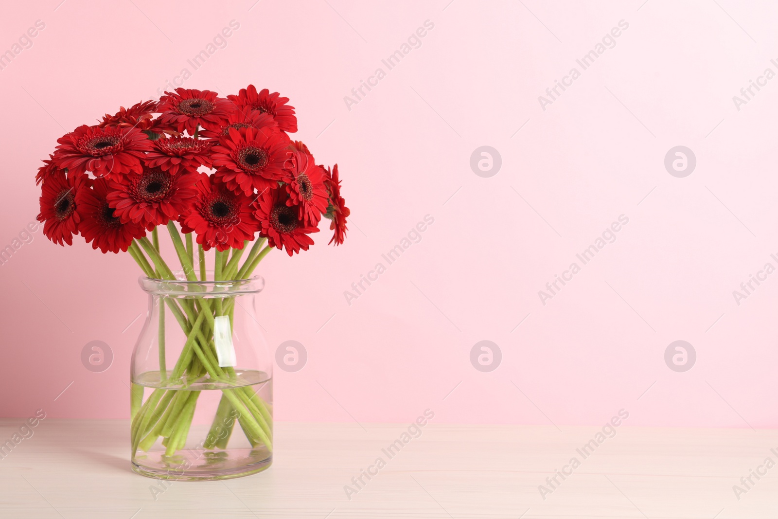 Photo of Bouquet of beautiful red gerbera flowers in glass vase on pink background. Space for text
