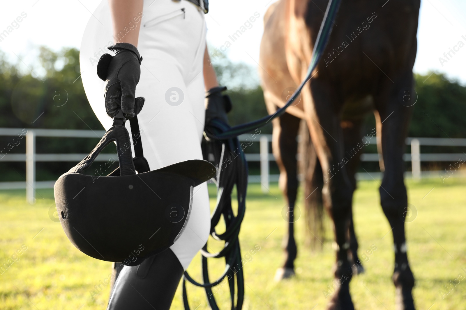 Photo of Young woman in horse riding suit and her beautiful pet outdoors on sunny day, closeup