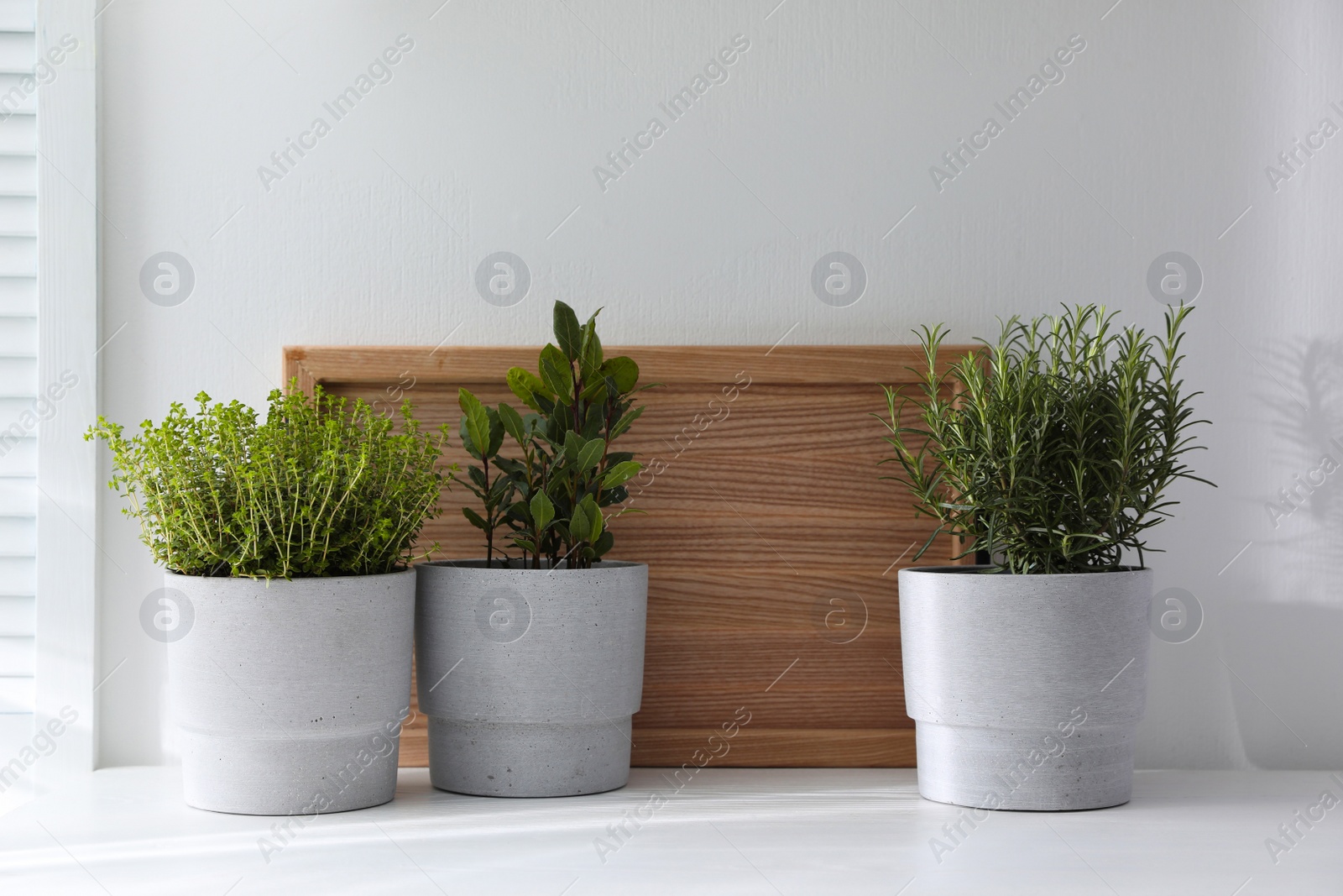 Photo of Different aromatic potted herbs on white table indoors