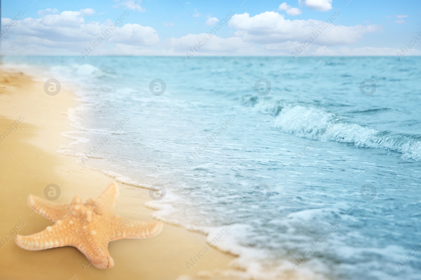 Image of Beautiful starfish on sandy beach near sea