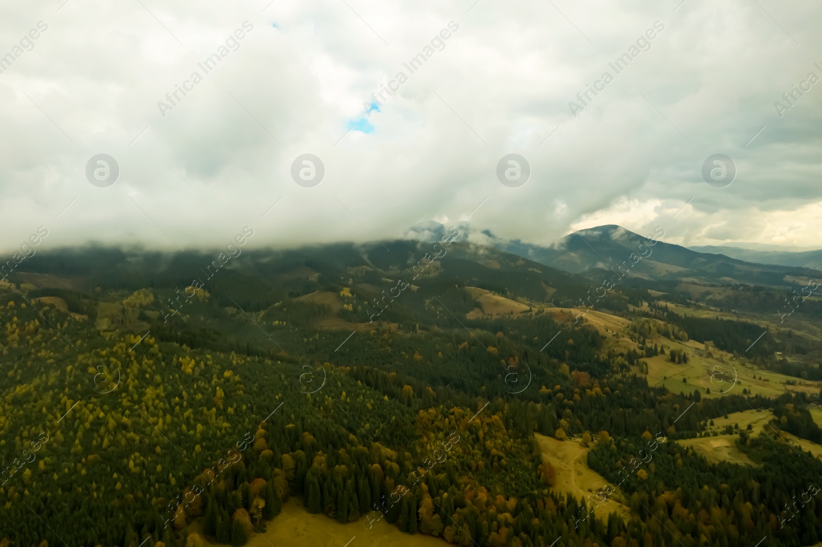 Image of Aerial view of beautiful forest in mountains on autumn day