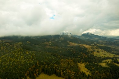 Aerial view of beautiful forest in mountains on autumn day