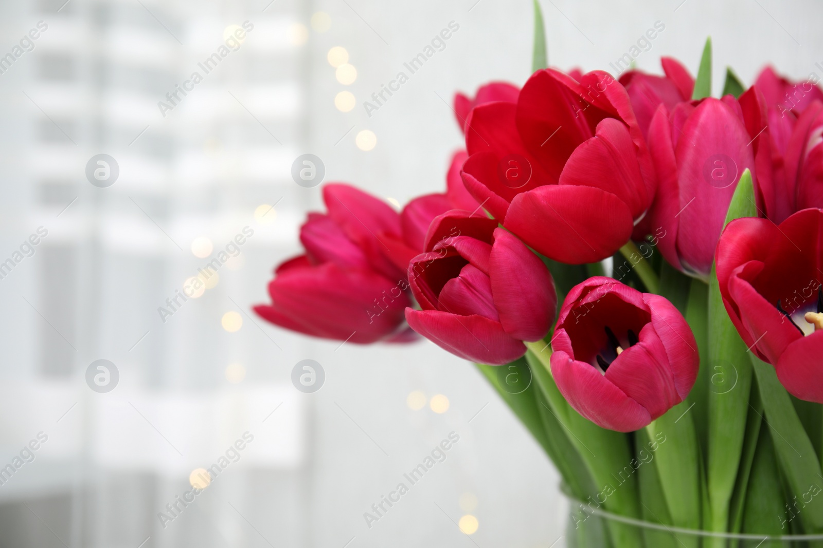 Photo of Bouquet of beautiful tulips indoors, closeup view. Space for text