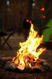 Photo of Beautiful bonfire with burning firewood near camping tent in forest