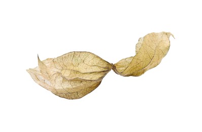 Dry calyx of physalis plant isolated on white