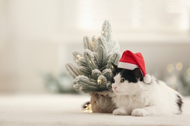 Photo of Adorable cat in Santa hat near decorative Christmas tree, space for text
