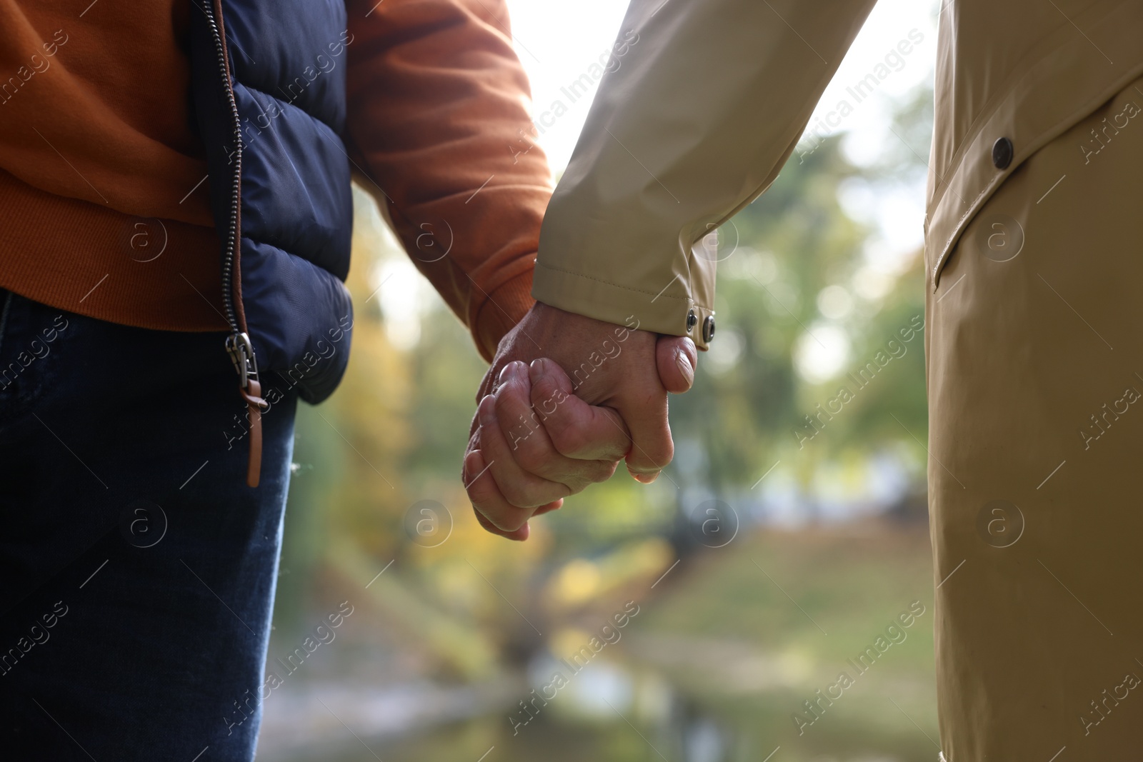 Photo of Senior couple holding hands in autumn park, closeup