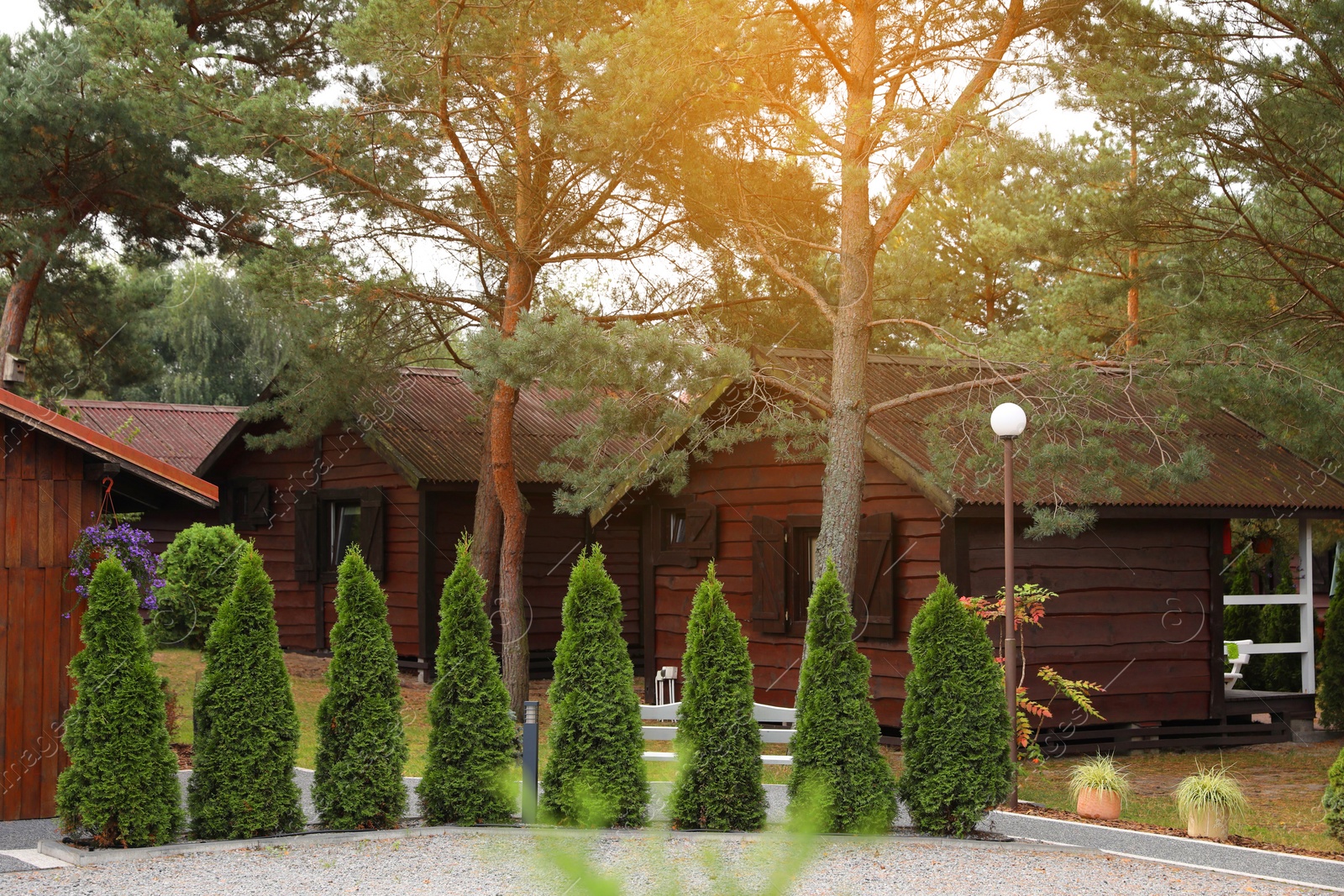 Photo of Beautiful wooden beach houses and green trees outdoors