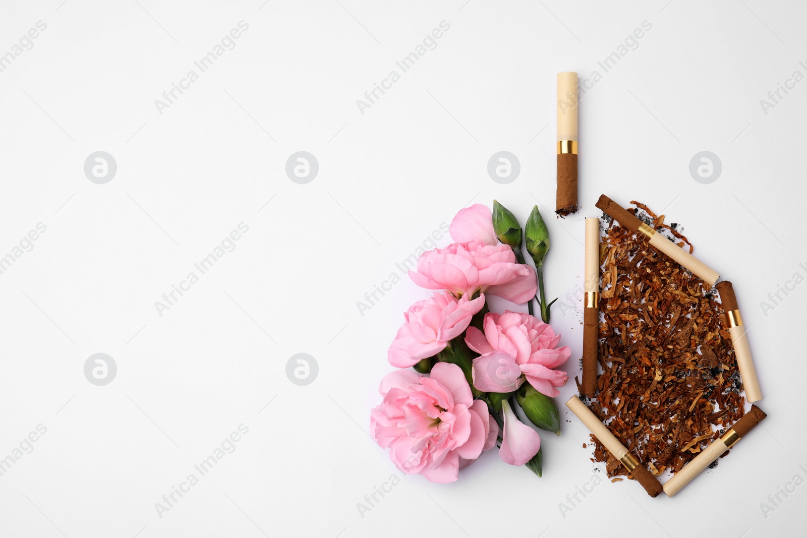 Photo of No smoking concept. Lungs made of dry tobacco, cigarettes and pink flowers on white background, flat lay with space for text