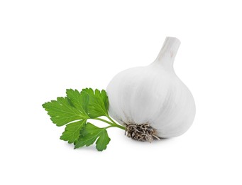 Photo of Fresh garlic bulb and parsley isolated on white