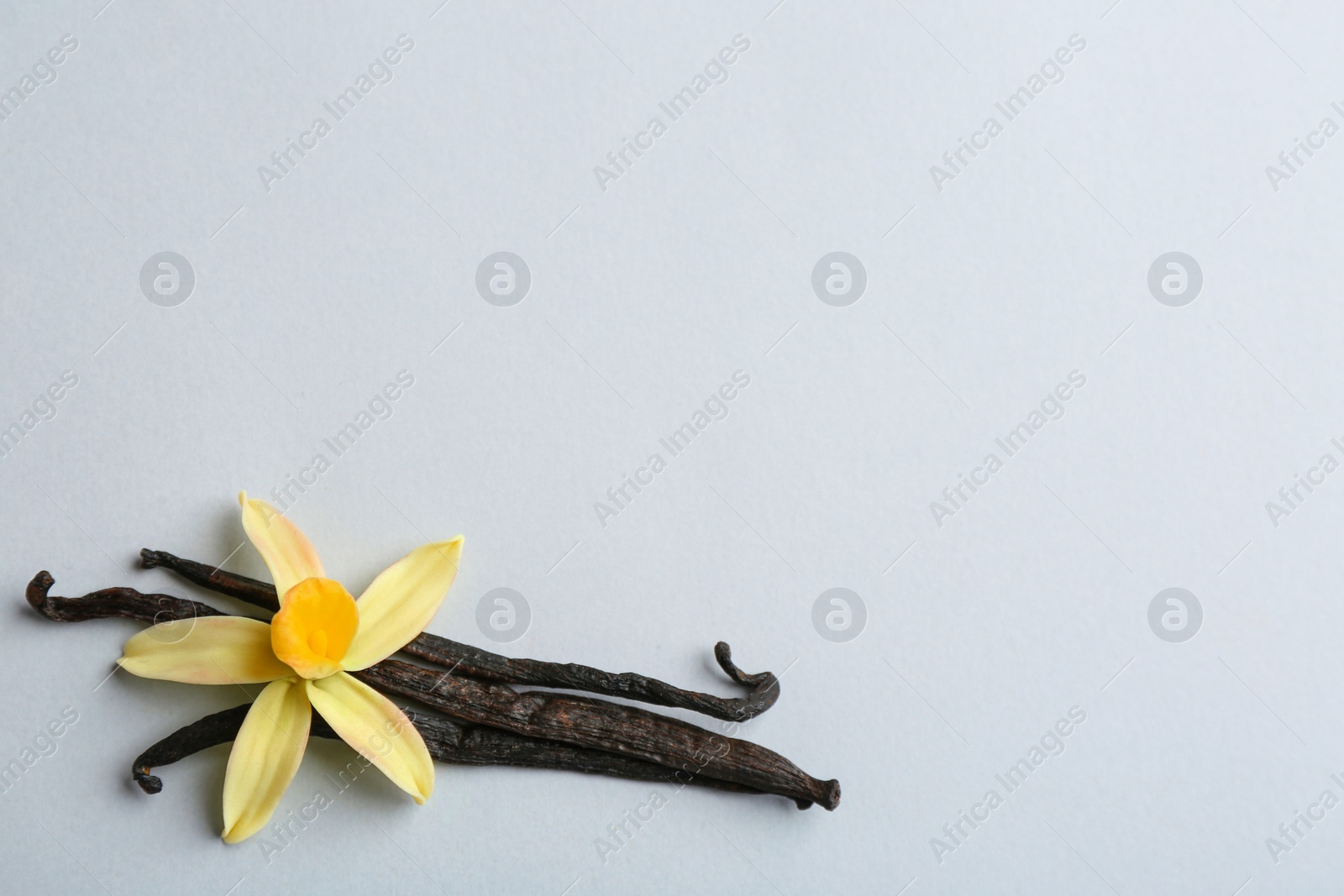 Photo of Flat lay composition with vanilla sticks and flower on light background. Space for text