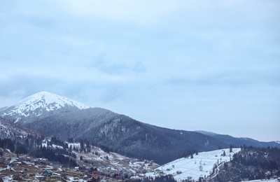 Winter landscape with mountain village near conifer forest