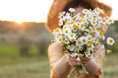 Photo of Woman holding beautiful chamomile bouquet outdoors, closeup