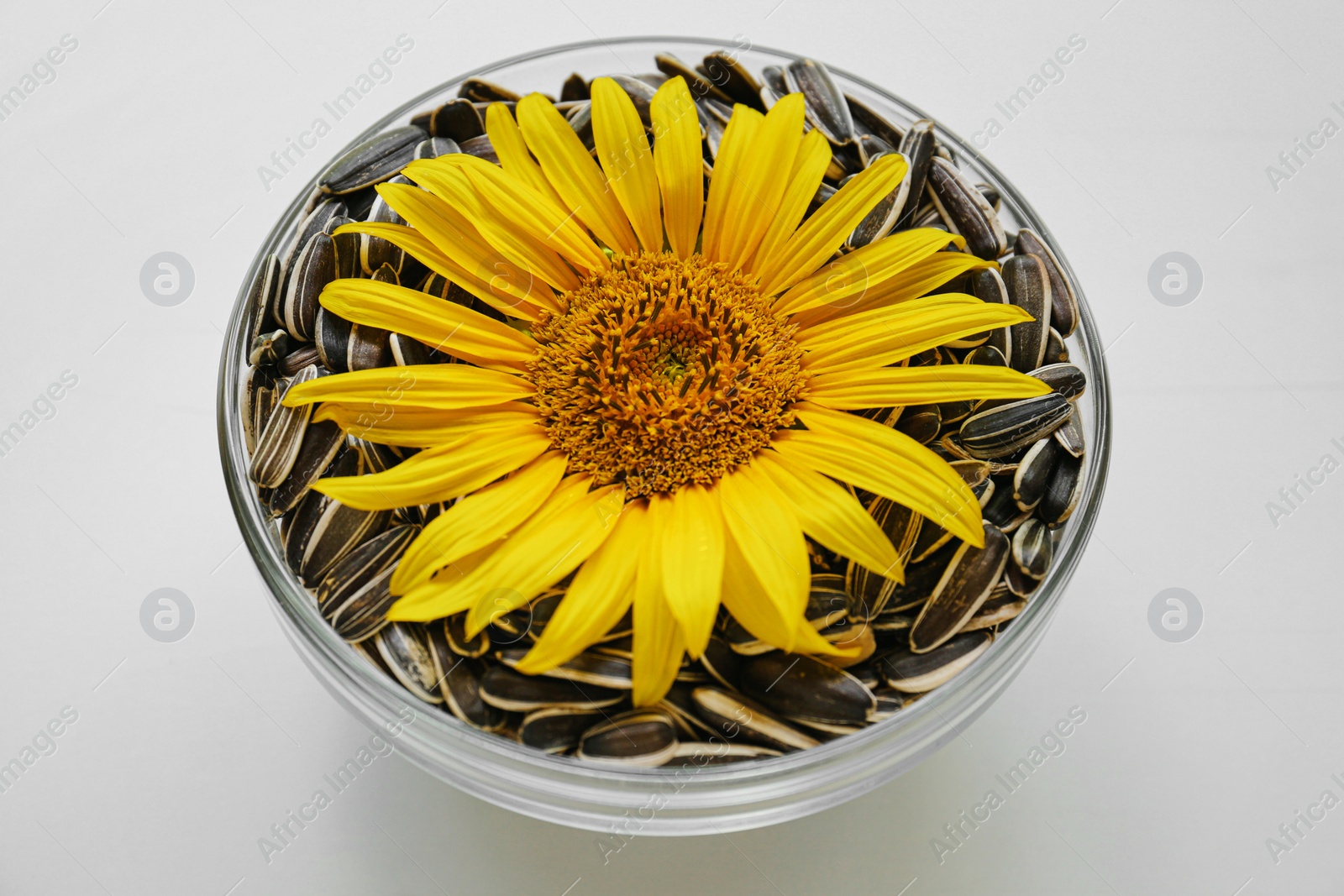Photo of Bowl with sunflower and seeds on white background, closeup
