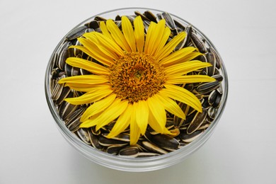 Bowl with sunflower and seeds on white background, closeup