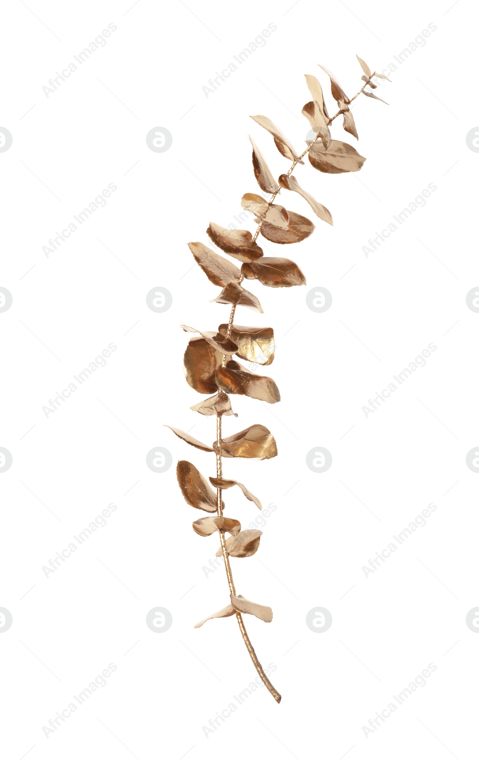 Photo of Shiny golden branch with leaves on white background, top view. Decor element