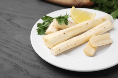 Cut raw salsify roots with parsley and lemon on grey wooden table, closeup. Space for text