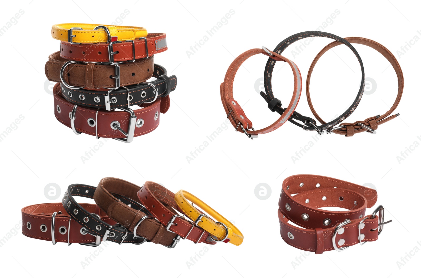 Image of Set with different leather dog collars on white background