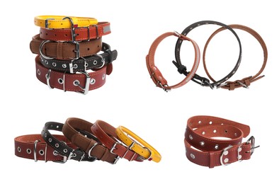 Image of Set with different leather dog collars on white background