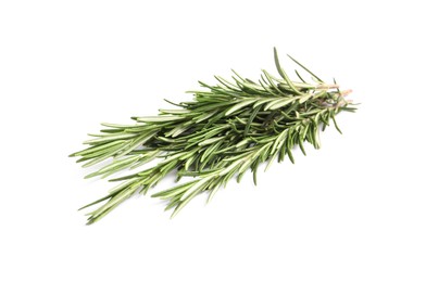 Sprigs of fresh rosemary isolated on white