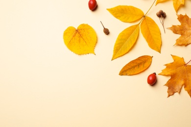 Flat lay composition with autumn leaves on beige background. Space for text