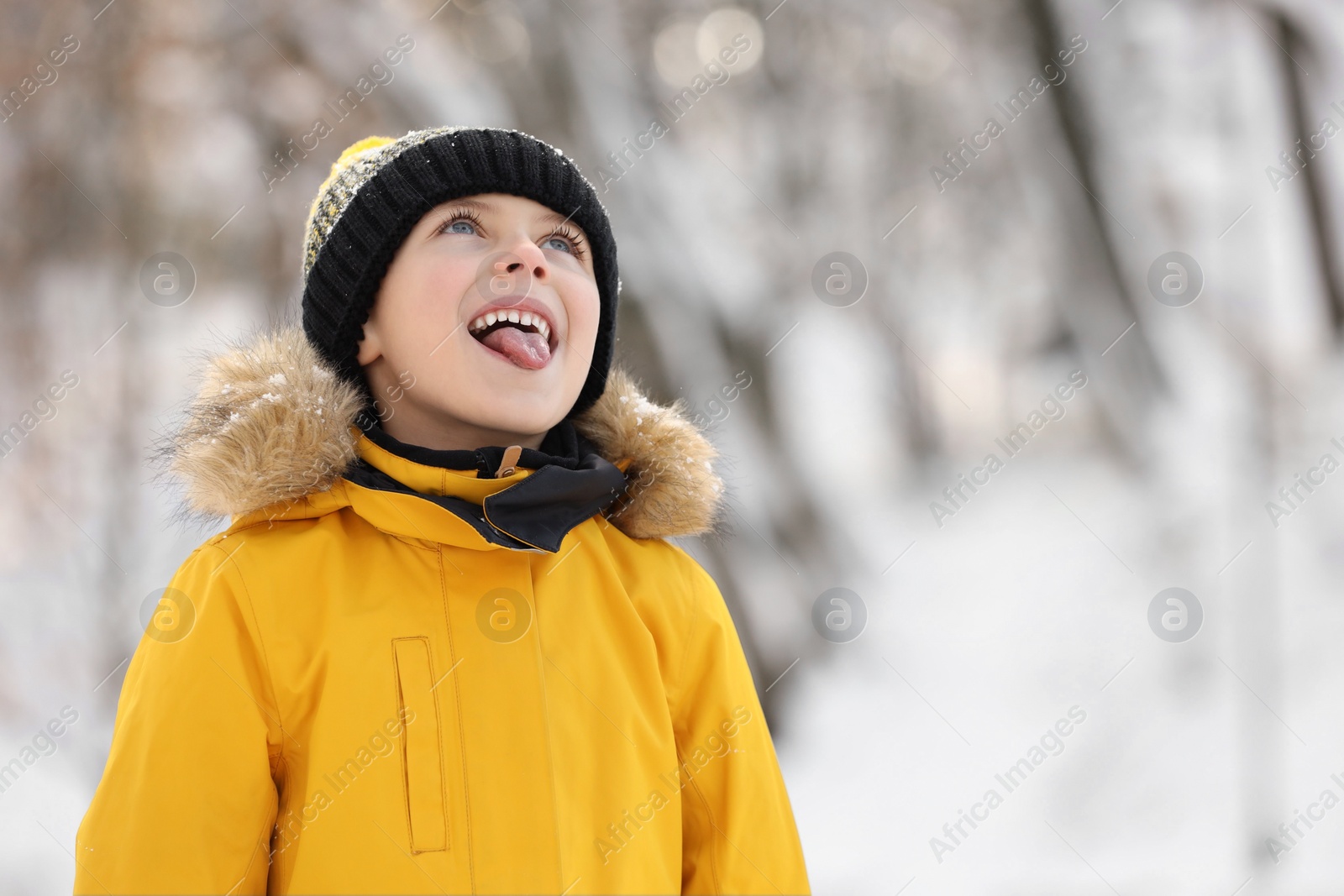 Photo of Cute little boy having fun in snowy park on winter day, space for text