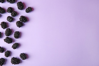 Tasty ripe blackberries on purple background, flat lay. Space for text