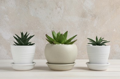 Photo of Beautiful succulent plants in pots on white wooden table