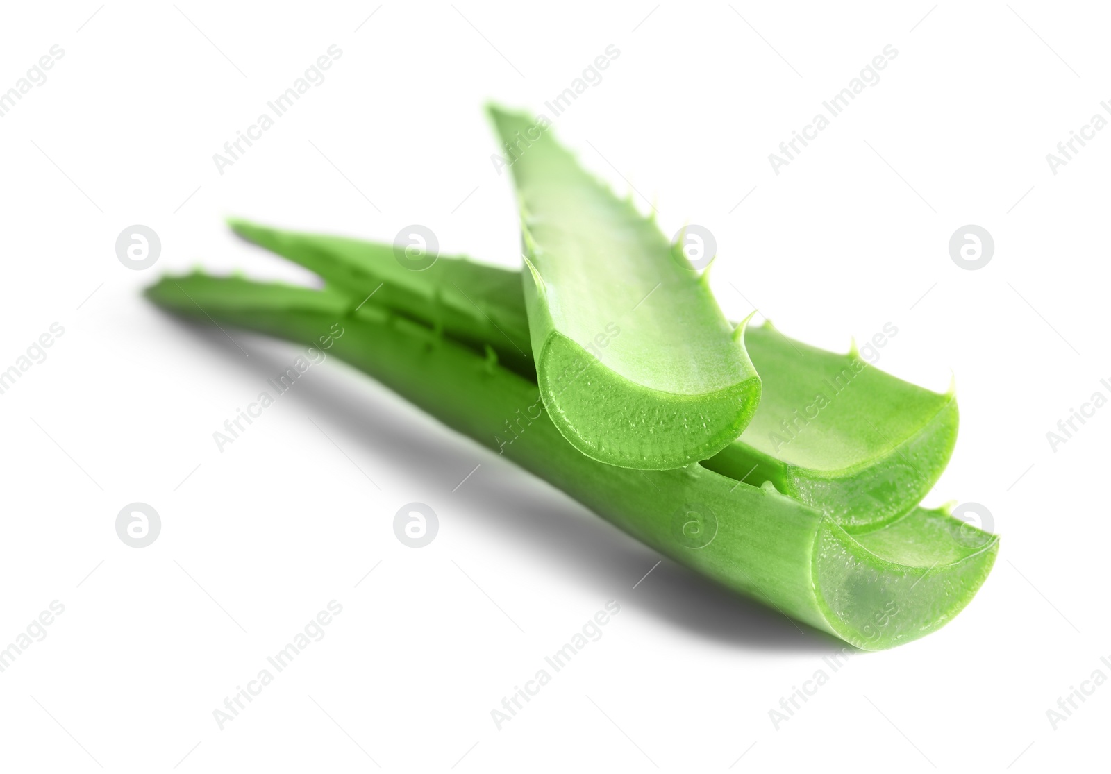 Photo of Fresh aloe vera leaves on white background