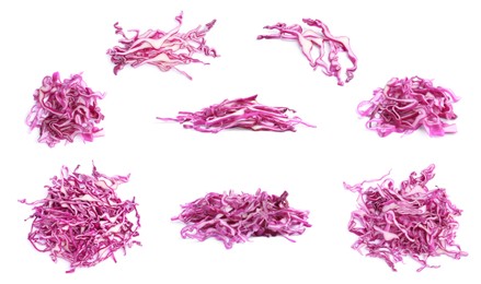 Image of Collage with piles of shredded fresh red cabbage on white background