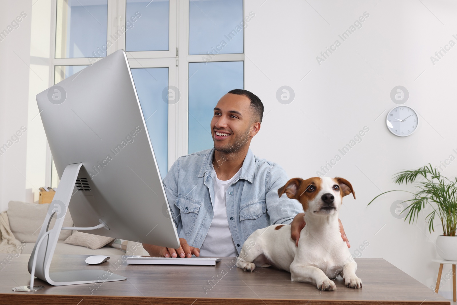 Photo of Young man with Jack Russell Terrier working at desk in home office