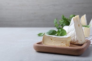 Photo of Delicious brie cheese with basil on light grey table. Space for text