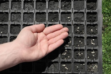 Photo of Gardener planting grains into seed box outdoors, top view